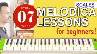 Melodica Lessons for Beginners 07 Scales [upl. by Aneger908]