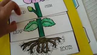 Grade 1  Science Parts of plant activities and games roots leaf bud stempetals and flowers [upl. by Werra]