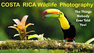 COSTA RICA Wildlife Photography  The Things NOBODY Ever Told You [upl. by Darelle]