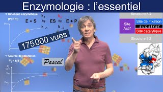 Enzymologie  lessentiel de ce quil faut en savoir [upl. by Ayek]