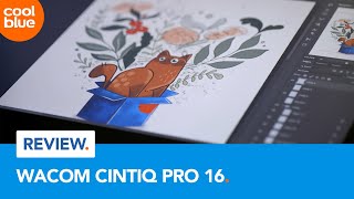 Wacom Cintiq Pro 16  Review [upl. by Eiliak]