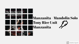 Manzanita  Mandolin Solo from Manzanita [upl. by Elgar335]