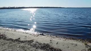 Croatan National Forests Catfish Lake and trail cam video [upl. by Ringsmuth]