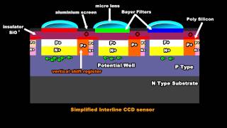 Digital Camera Sensor Technology  Part 3 CCD Sensors explained [upl. by Tosch]