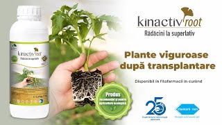 Kinactiv Root  reduce pierderile la transplantarea rasadurilor [upl. by Tekcirk]