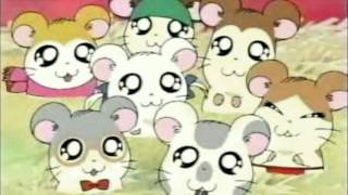 Hamtaro Japanese OP [upl. by Kalam291]