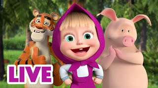 🔴 LIVE STREAM 🎬 Masha and the Bear 🤸‍♂️ Jump Skip and Hop together 🏃🙌 [upl. by Valene]