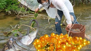 Teenage Girls Incredible Riverbank Find Giant Mussel Contains Collection of Valuable Pearls [upl. by Onej594]