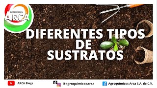 ¿CUÁLES SON LOS TIPOS DE SUSTRATO QUE EXISTEN [upl. by Critta]