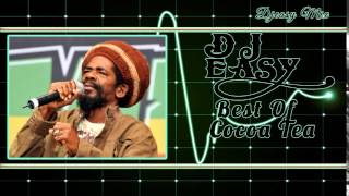 Cocoa Tea Best of The Best Greatest Hits mix by djeasy [upl. by Rozelle]