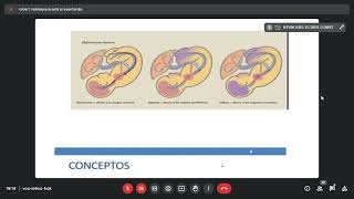 Obstetricia Evaluación fetal intraparto 2806 Dr Molleapaza [upl. by Eillehs527]