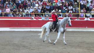 El Chapo De Sinaloa  En Vivo quot Recostada En La Cama quot [upl. by Charyl]