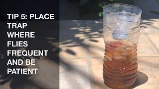 EASY FOOLPROOF HOMEMADE FLY TRAP 5 Tips To Make It More Efficient [upl. by Gathers]