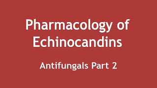 Pharmacology of Echinocandins Antifungals Part 2 ENGLISH  Dr Shikha Parmar [upl. by Nichols]