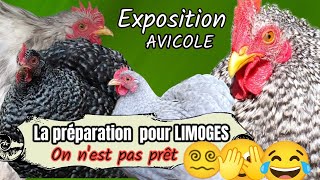 EXPOSITION AVICOLE 2023 A LIMOGES la préparation [upl. by Qirat]