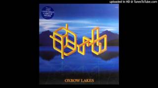 The Orb  Oxbow Lakes Carl Craig Psychic Pals Family Wealth Plan Mix [upl. by Olinad633]