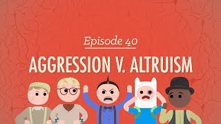 Aggression vs Altruism Crash Course Psychology 40 [upl. by Nacul719]