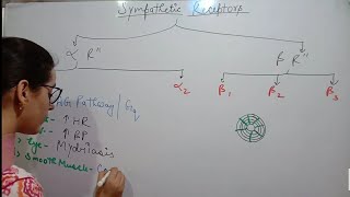 ALPHA ADRENERGIC RECEPTORS  LOCATION AND ACTION [upl. by Anitnahs]