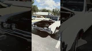 Car Show Kumquat Festival automobile cruisetime classic 37spiker [upl. by Dressel]