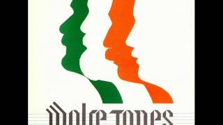 The Man From Mullingar  The Wolfe Tones [upl. by Ahsikel160]