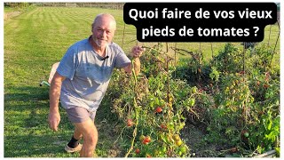 Quoi faire de vos vieux pieds de tomates en fin de saison [upl. by Aulea]