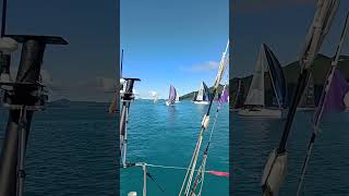 Airlie beach regatta Queensland Australia [upl. by Thorman]