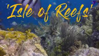 Carriacou Diving The Isle of Reefs [upl. by Amr]