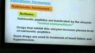 25 DrHani 17042014 Angiotensin  systemic regulation of nervous system [upl. by Ahsilak]