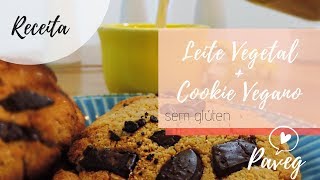 Receita de Leite Vegetal de Amendoim  Cookie Vegano com Resíduo de Leite Vegetal  Blog Paveg [upl. by Ephraim]