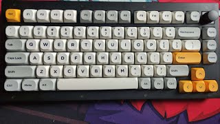 Keychron V1 with Kailh Box White Typing Test [upl. by Faxan638]