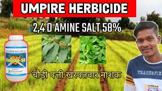 24 d herbicide 24 d amine salt 58 sl 24 d amine salt 58 sl use in hindi Umpire herbicide [upl. by Ardnazxela14]