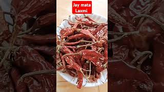 jay mata Laxmi ji 🏡🌶️🌶️ [upl. by Cavanagh21]