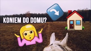 Koniem do domu ★ Vlog 11 ★ [upl. by Assennej]