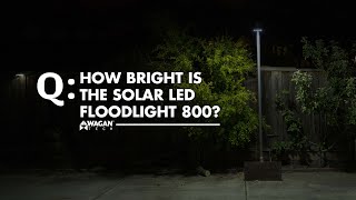 How Bright Is The Solar LED Floodlight 800 [upl. by Hutchinson]