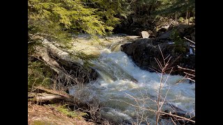 Auger Falls Hike  March 8 2024 [upl. by Nytsuj]