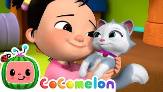 Cece Had a Little Cat  CoComelon Nursery Rhymes amp Kids Songs [upl. by Imtiaz]