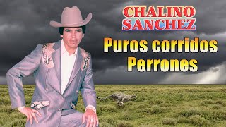 Chalino Sánchez Mix Para Pistear 2023  Corridos Famosos [upl. by Enelrahc]