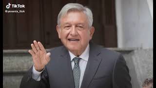 Una perra sorprendente curvilínea y elocuente AMLO tiktok Nathy Peluso [upl. by Enimrac]