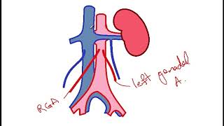 USMLE ACE Video 48 Drainage of Paraaortic Lymph Nodes [upl. by Asiralc440]