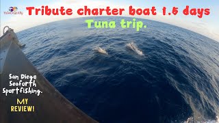 Tribute Charter Boat 15 days Tuna trip  SD Seaforth Sportsfishing Review [upl. by Pris631]