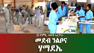 ኣግእዞ ድምጺ ኤርትራውያን ደቂ ኣንስትዮ ጻውዒት ሃማደኤ  DimTsi Hafash Eritreaድምጺ ሓፋሽ ኤርትራ [upl. by Gibert]