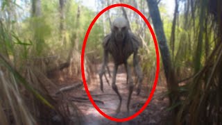 Disturbing Trail Cam Footage That Went Viral Overnight [upl. by Summer]