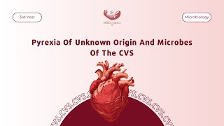 Pyrexia Of Unknown Origin And Microbes Of The CVS  Microbiology [upl. by Eerbua521]