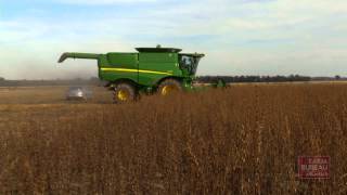 Sesame Production in Arkansas [upl. by Hescock734]