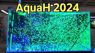 AquaH 2024 The UKs Largest Ever Coral Show It Was Epic [upl. by Drawd135]