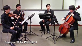 Canon in D by Pachelbel Vetta Quartet from Singapore [upl. by Ahsena775]