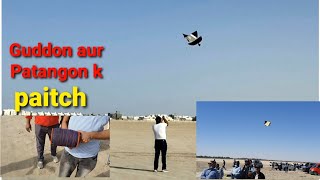 Patangbazi Real Kite Fighting Patang Bazi In Saudia Arabia Pipa Combate [upl. by Enaamuj]