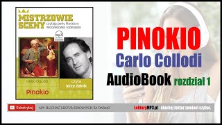 AUDIOBOOK PINOKIO MP3  bajka do słuchania dla dzieci Carlo Collodi [upl. by Nnylacissej776]