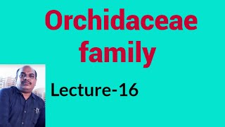 Orchidaceae family in English [upl. by Furie]