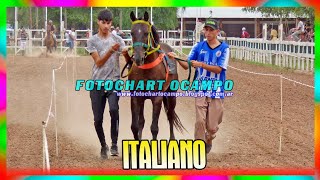 ITALIANO  Campo Gallo  Santiago del Estero 23122023 [upl. by Tavey]